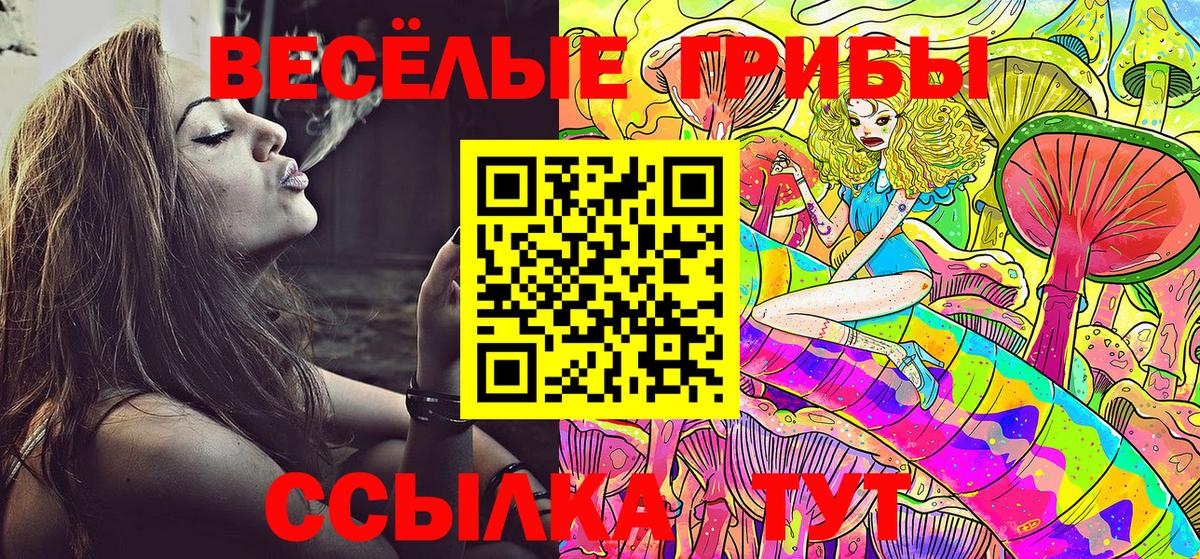 Галлюциногенные грибы Psilocybe  Псилоцибиновые грибы MAGIC MUSHROOMS  Вход с VPN  Гулькевичи 